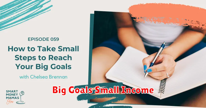 Big Goals Small Income