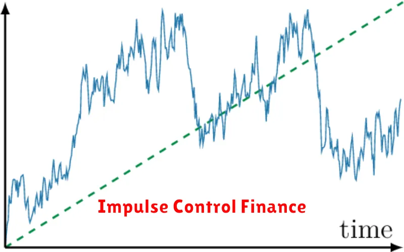 Impulse Control Finance